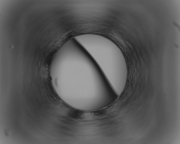 X0000093150413200709261020