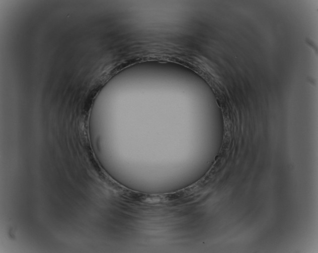 X0000093150415200709261020