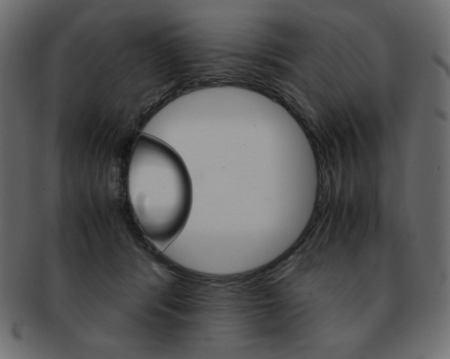 X0000093150416200709261020