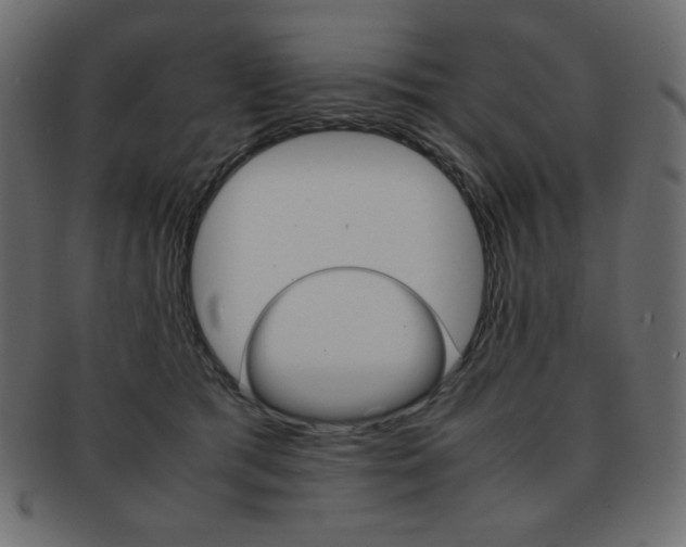 X0000093150417200709261020