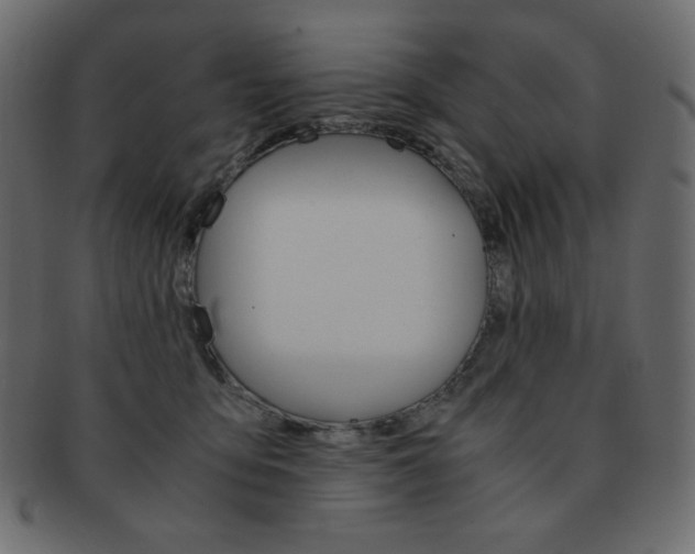 X0000093150419200709261020