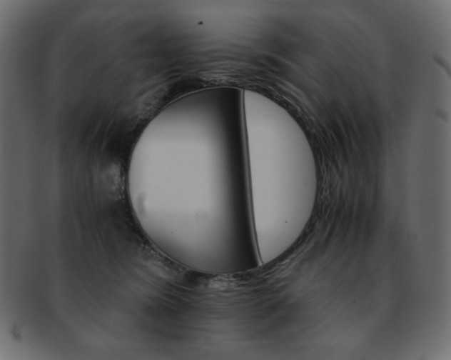 X0000093150420200709261020