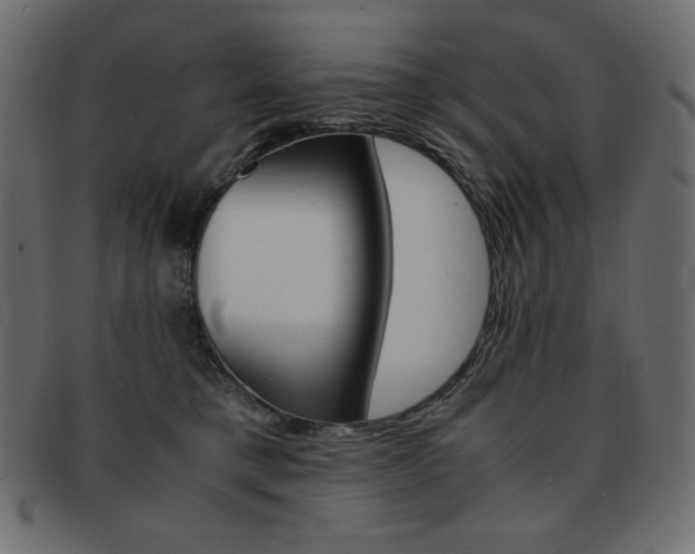 X0000093150421200709261020