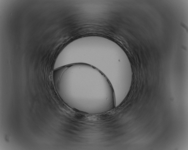 X0000093150423200709261020