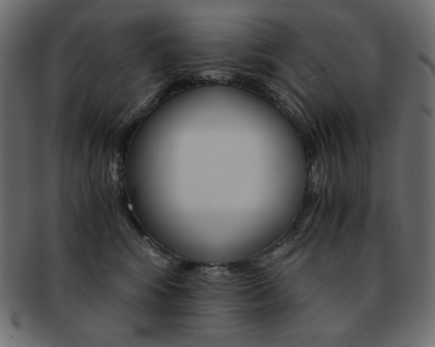 X0000093150424200709261020