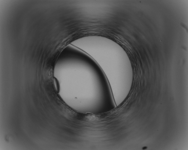 X0000093150425200709261020