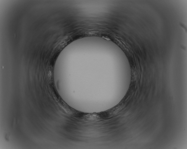 X0000093150427200709261020