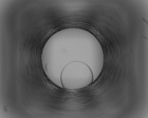 X0000093150429200709261020