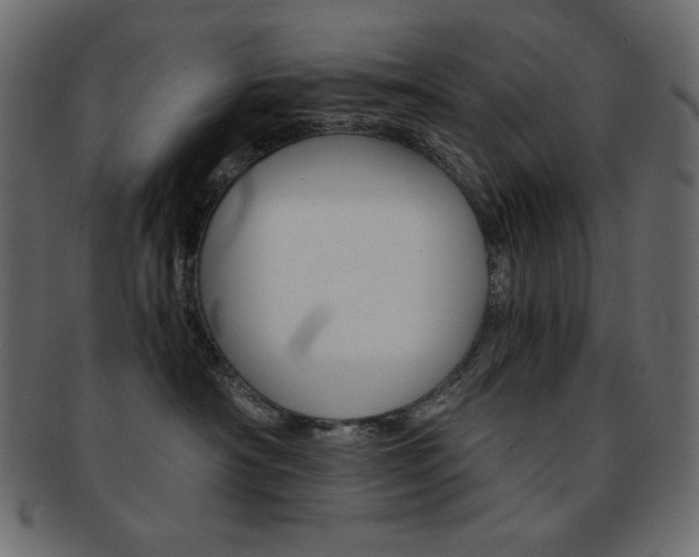 X0000093150430200709261020