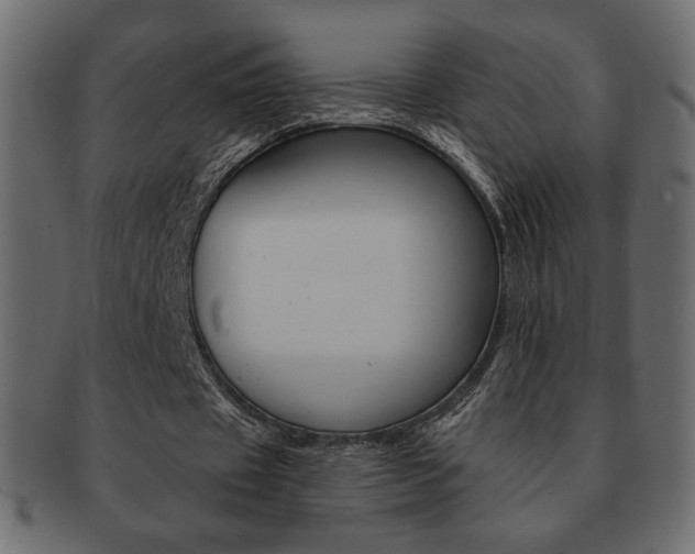 X0000093150433200709261019