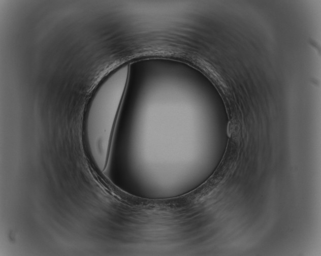 X0000093150434200709261019