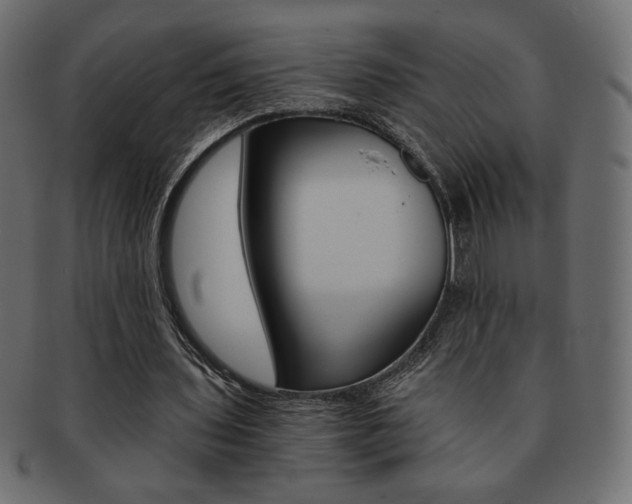 X0000093150435200709261019
