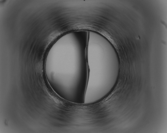 X0000093150438200709261019