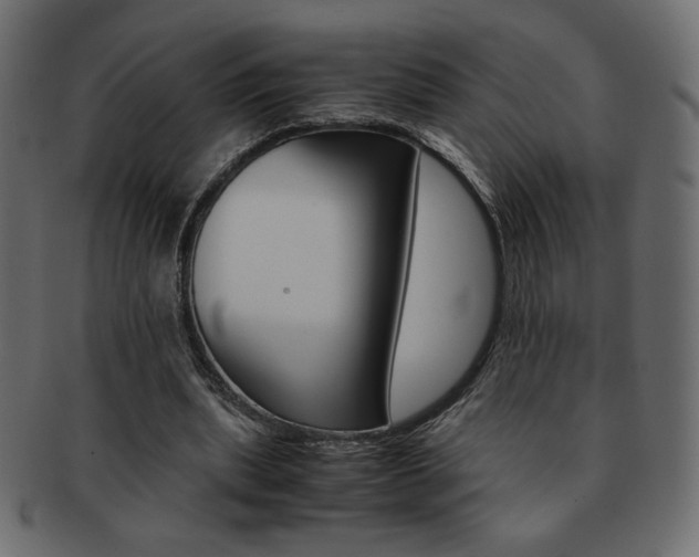 X0000093150439200709261019