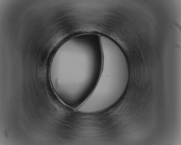 X0000093150440200709261019