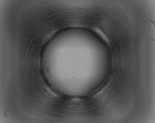X0000093150441200709261019