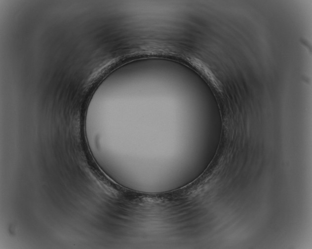 X0000093150442200709261019