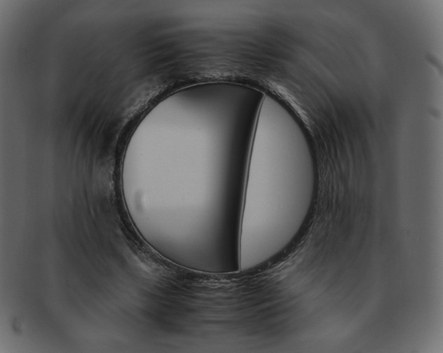 X0000093150443200709261019