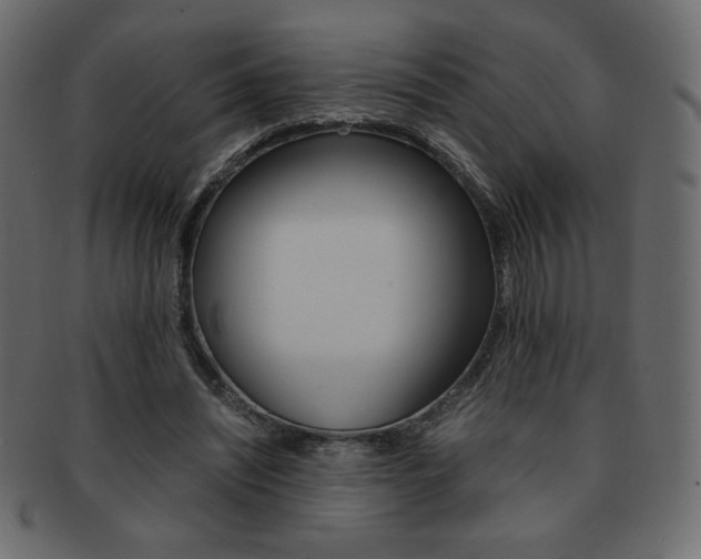 X0000093150444200709261019