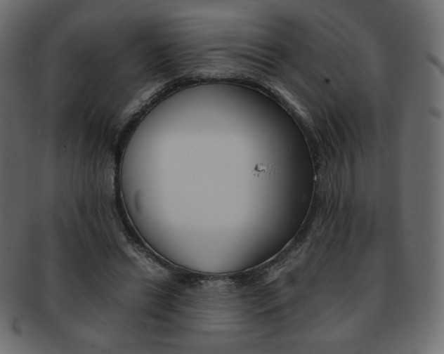 X0000093150446200709261019