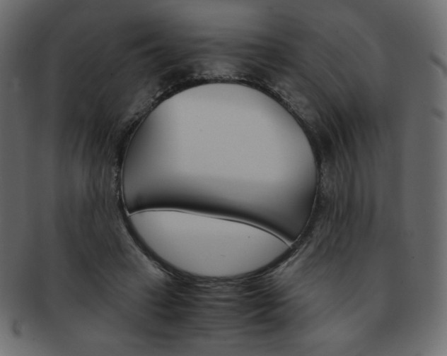 X0000093150449200709261019