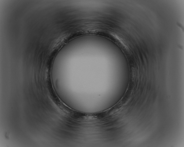 X0000093150451200709261020