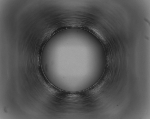 X0000093150453200709261020