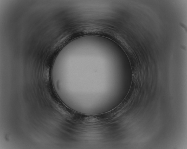 X0000093150454200709261020
