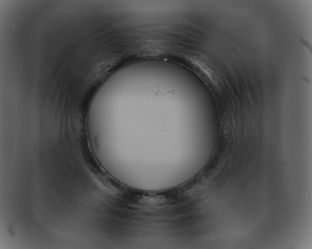 X0000093150455200709261020