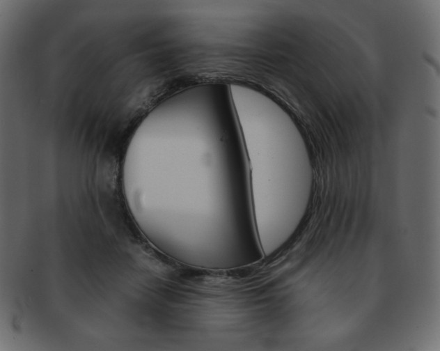 X0000093150458200709261020