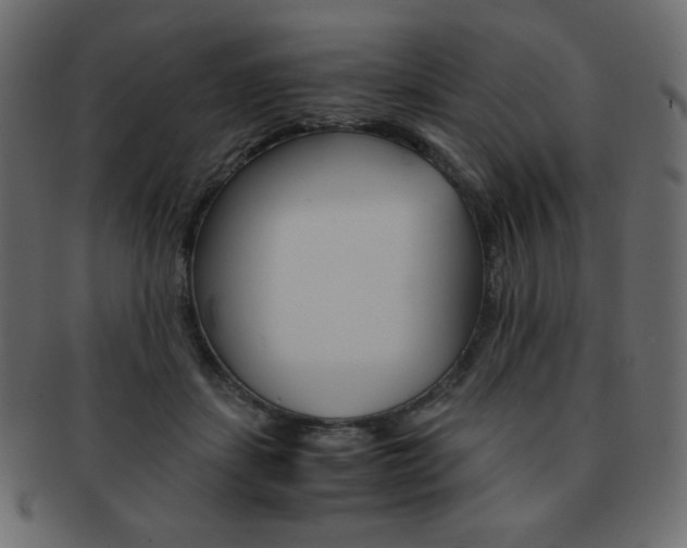 X0000093150459200709261020