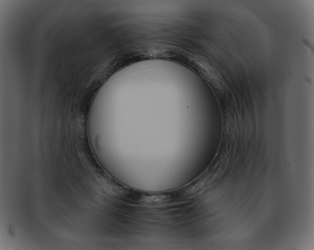 X0000093150461200709261020