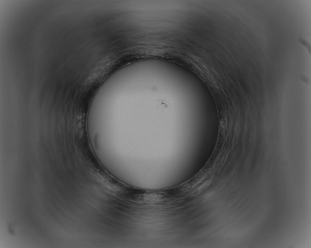 X0000093150462200709261020