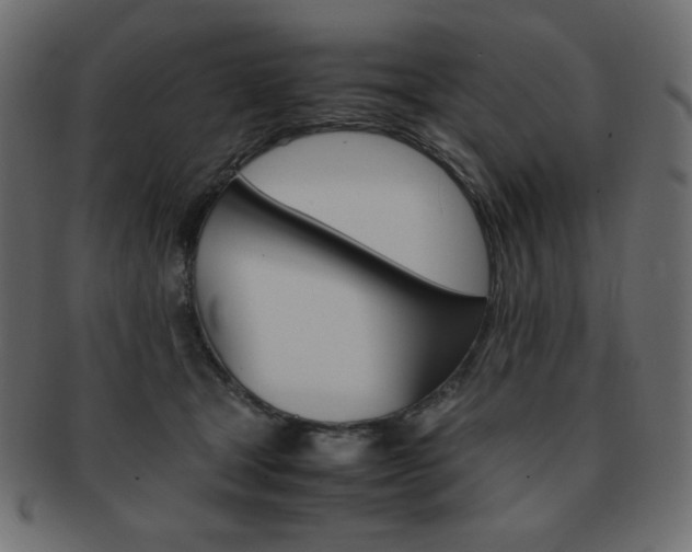 X0000093150465200709261020