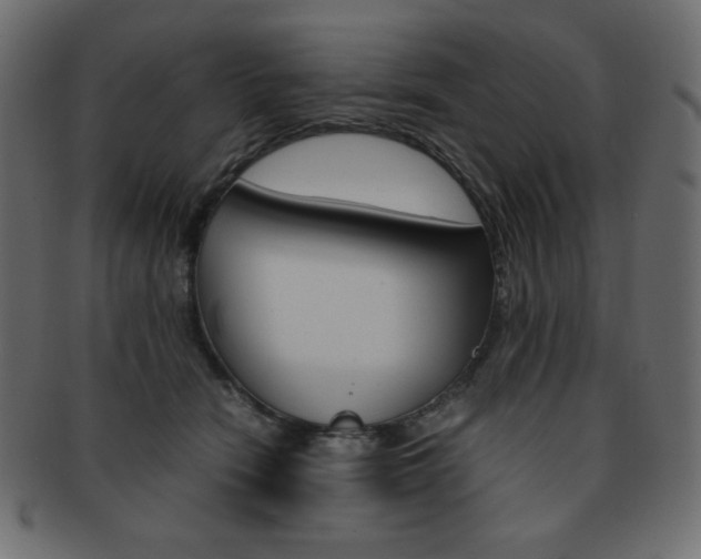 X0000093150466200709261020
