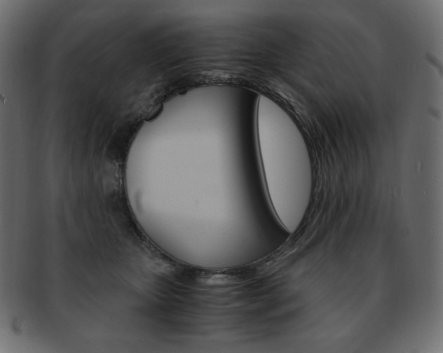 X0000093150467200709261020