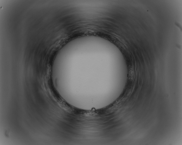 X0000093150468200709261020