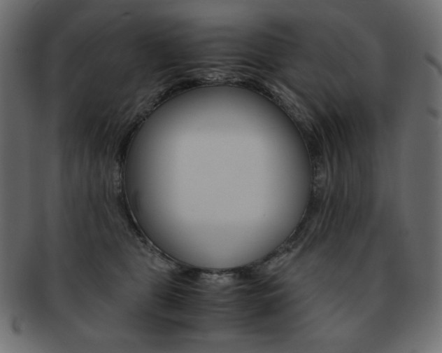 X0000093150469200709261020