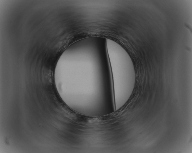 X0000093150470200709261020