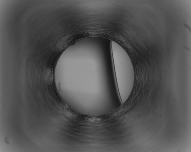 X0000093150471200709261020