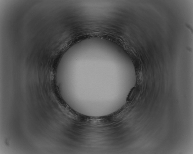 X0000093150472200709261020