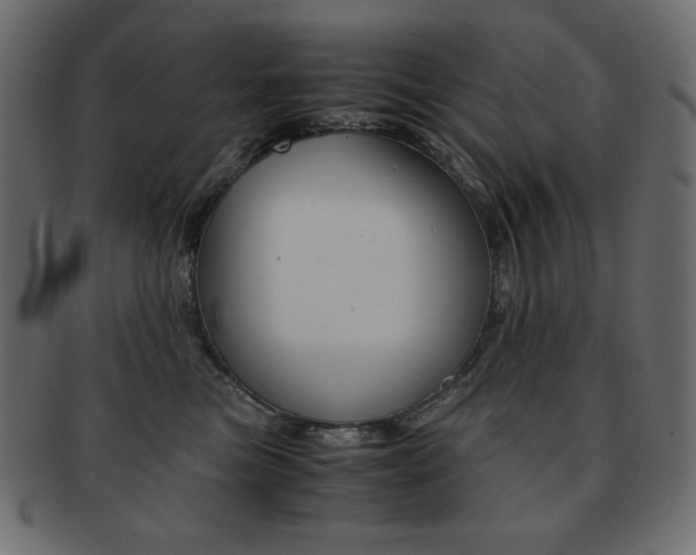 X0000093150473200709261020