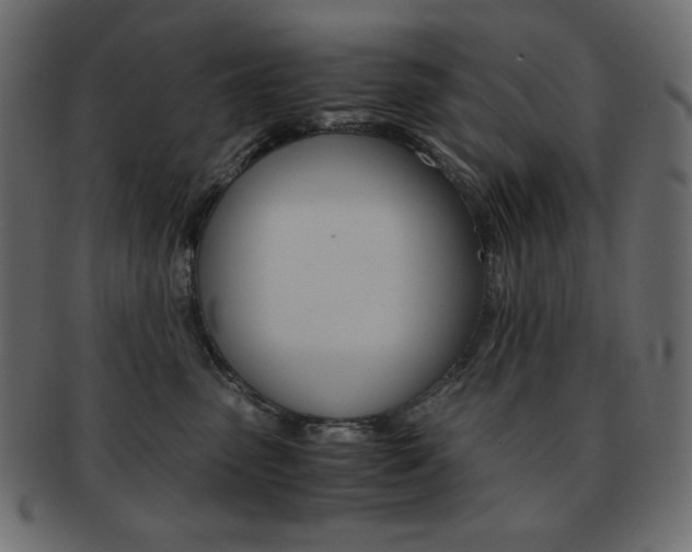 X0000093150475200709261020