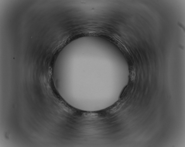 X0000093150476200709261020