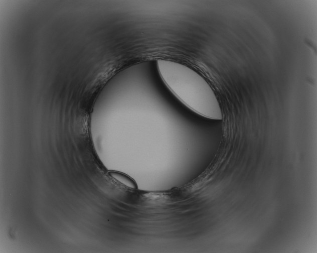 X0000093150477200709261020