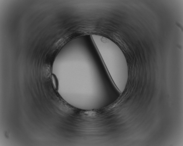 X0000093150478200709261020
