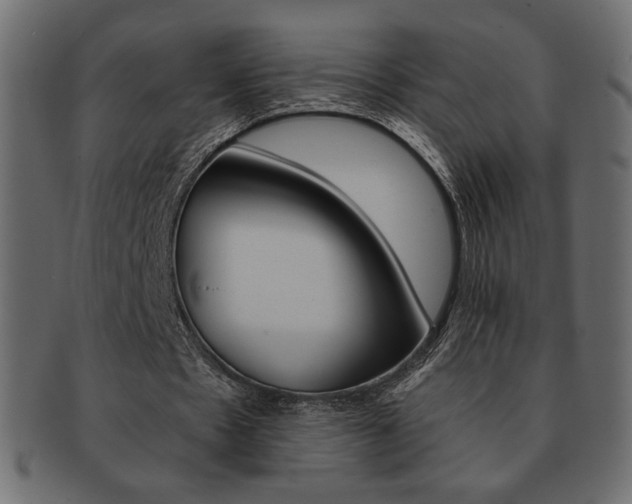 X0000093150481200709261019