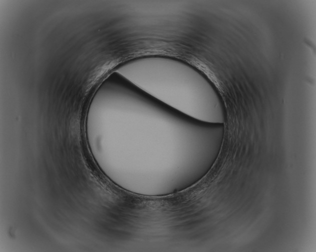 X0000093150482200709261019