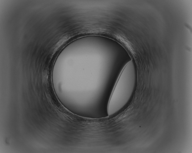 X0000093150483200709261019
