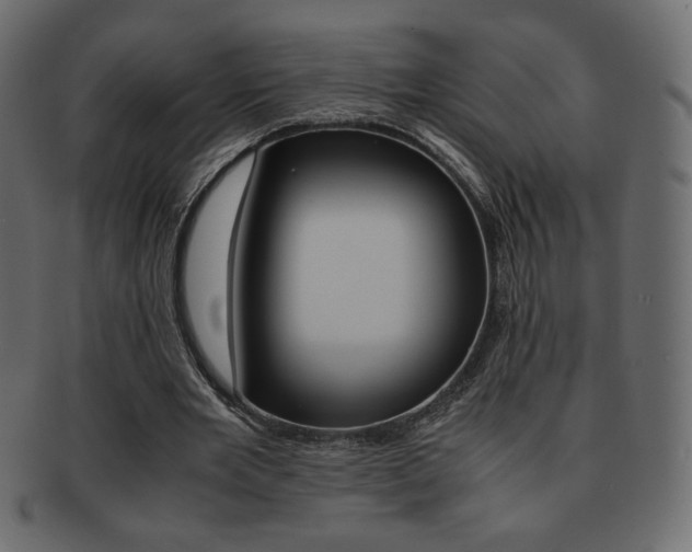 X0000093150485200709261019